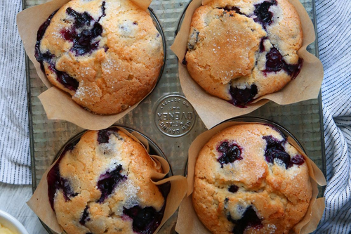 Easy Greek Yoghurt Blueberry Muffins