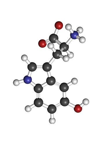 5-Hydroxytryptophan