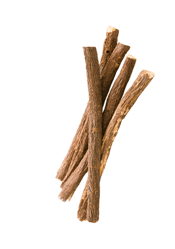 Liquorice Root