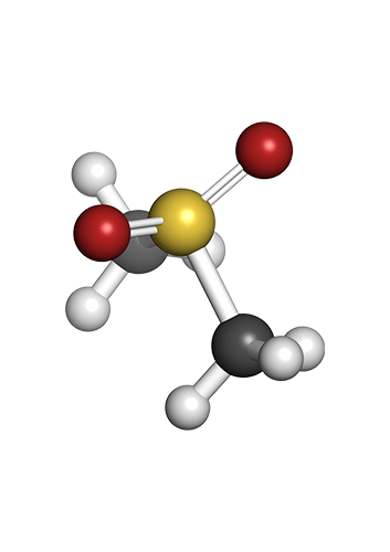 Methylsulphonylmethane (MSM)