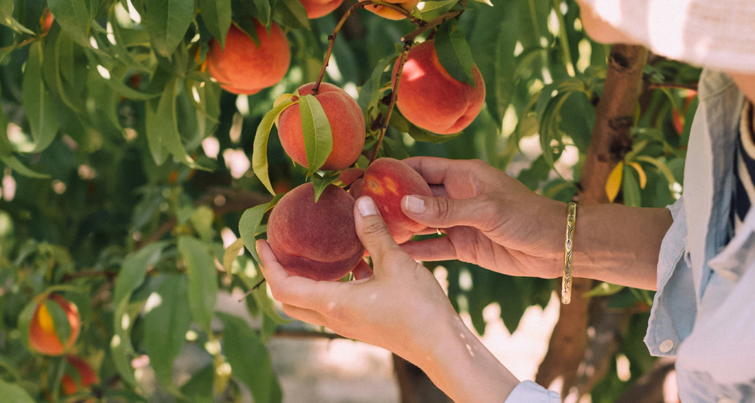 Summer-Ready Vegan Peach Iceblocks