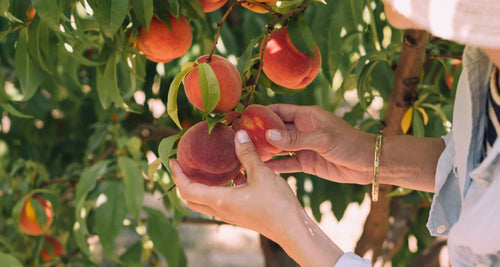 Summer-Ready Vegan Peach Iceblocks