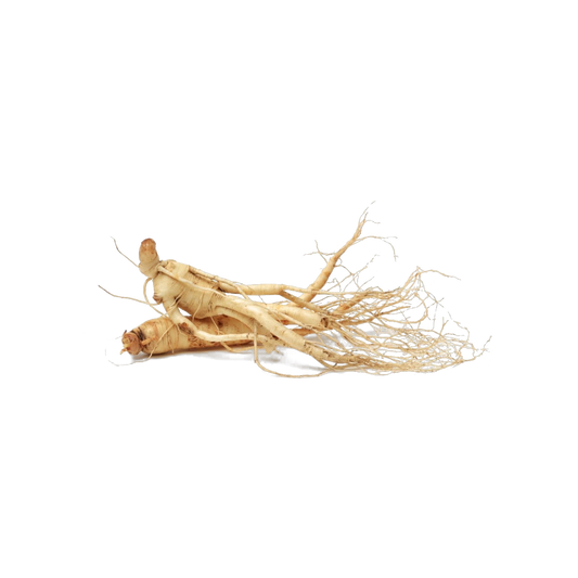 Korean Ginseng