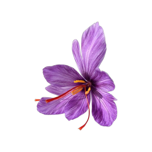 Saffron (Safr’Inside®)